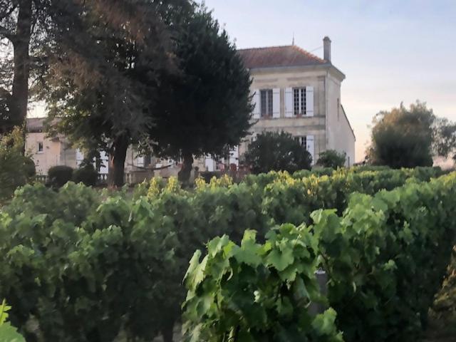 Chateau Couchebout Bed and Breakfast Pugnac Exteriör bild
